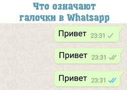 whatsapp галочки в сообщениях